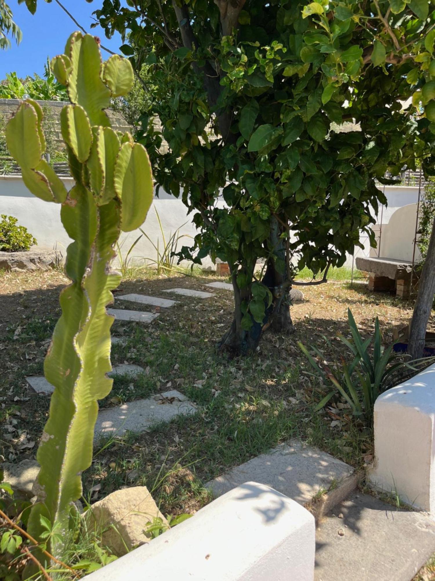 Villa Manni Procida Kültér fotó