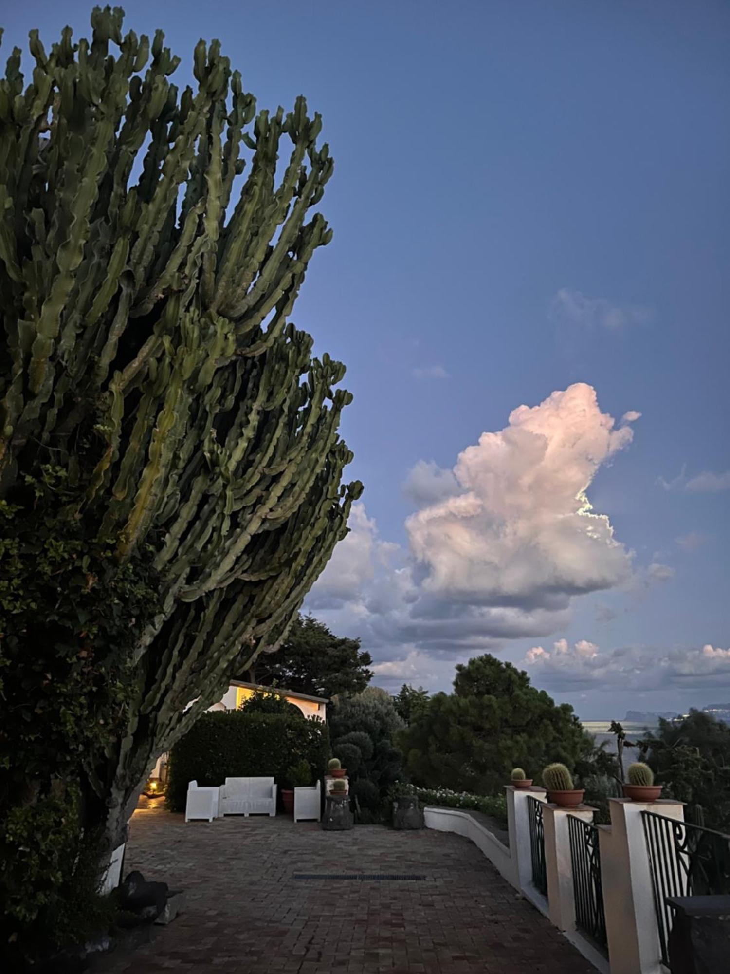 Villa Manni Procida Kültér fotó